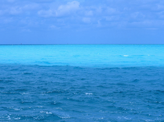 The Semantic Web is a blue ocean 