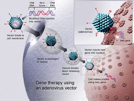 Therapeutic proteins research paper