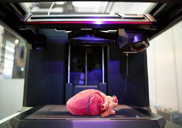 3d Printed Vascular Networks Pave Way For Artificial Organs