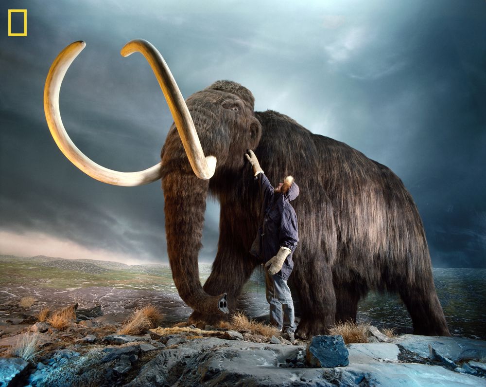 6 Extinct Animals That Could Be Brought Back to Life