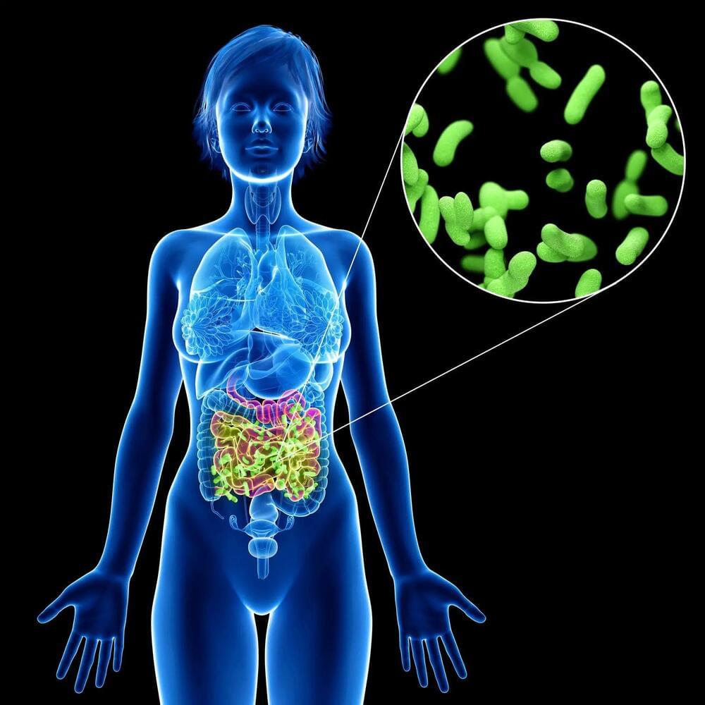 a-new-connection-gut-bacteria-may-play-a-role-in-diabetes