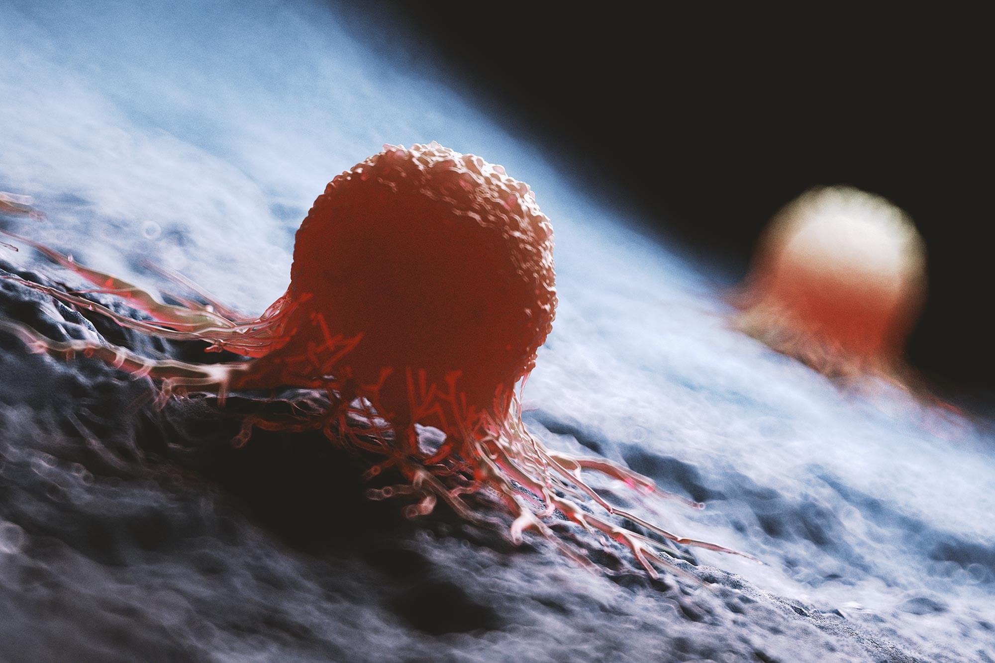 AI Finally Takes On a Century-Old Cancer Mystery – Lifeboat News: The Blog