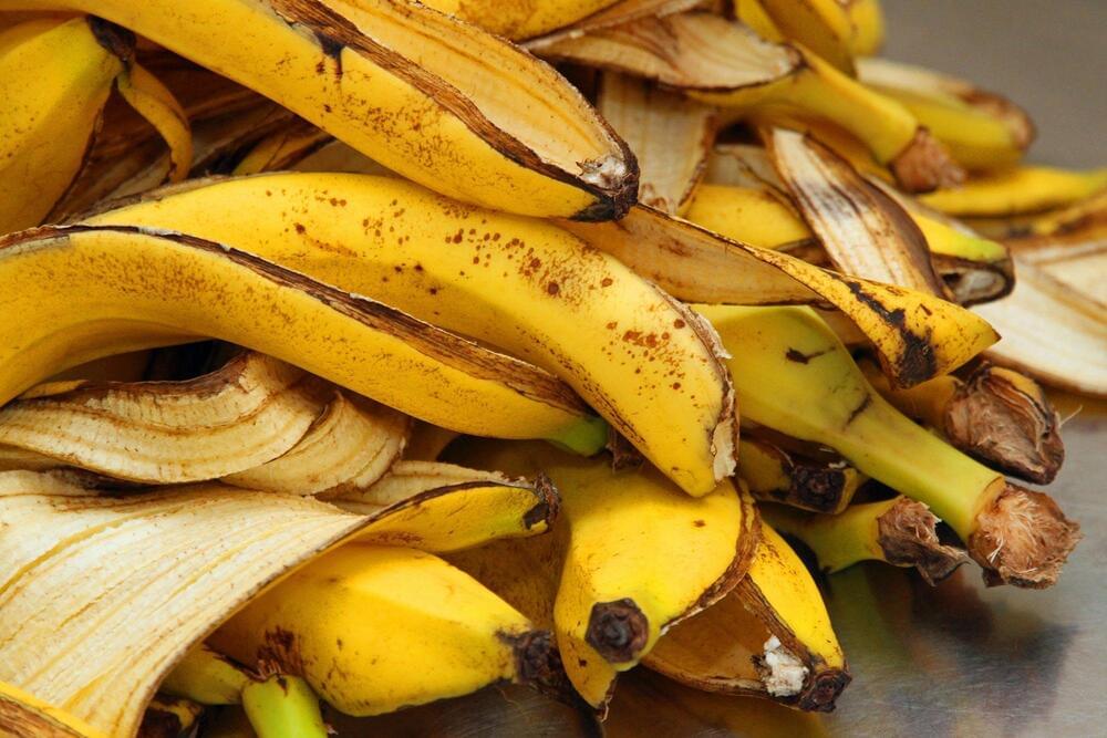 Banana Split: Extracting Hydrogen Fuel From Banana Peels