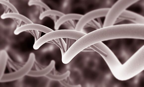 http://cdn.singularityhub.com/wp-content/uploads/2014/01/1000_genome_dna-1.jpg