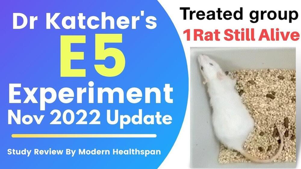 Dr Katcher’s E5 Experiment November 2022 Update