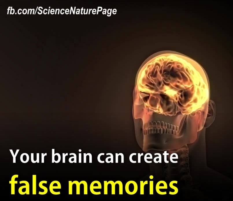 false memory pictures