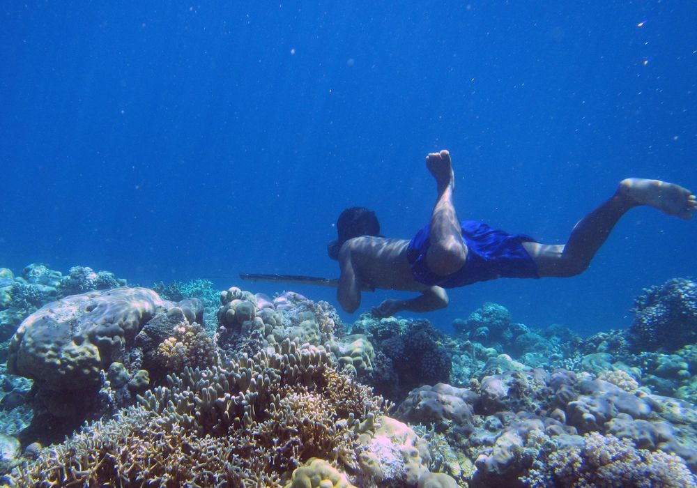 genetic-adaptations-to-diving-discovered-in-humans-for-the-first-time