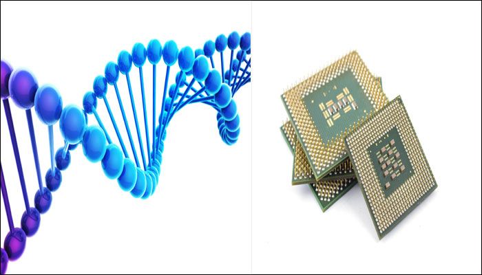 Image result for dna based computer