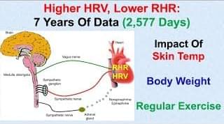 Higher HRV, Lower RHR: 2,577 Days Of Tracking – Lifeboat News: The Blog