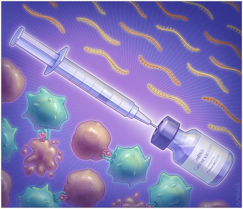 Image description not available.