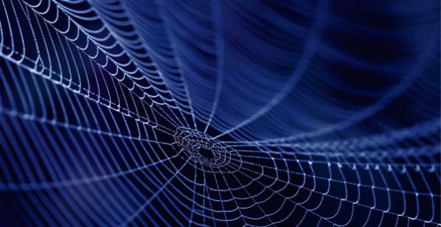 In The Future, Spider Silk May Help Grow Your Replacement Heart
