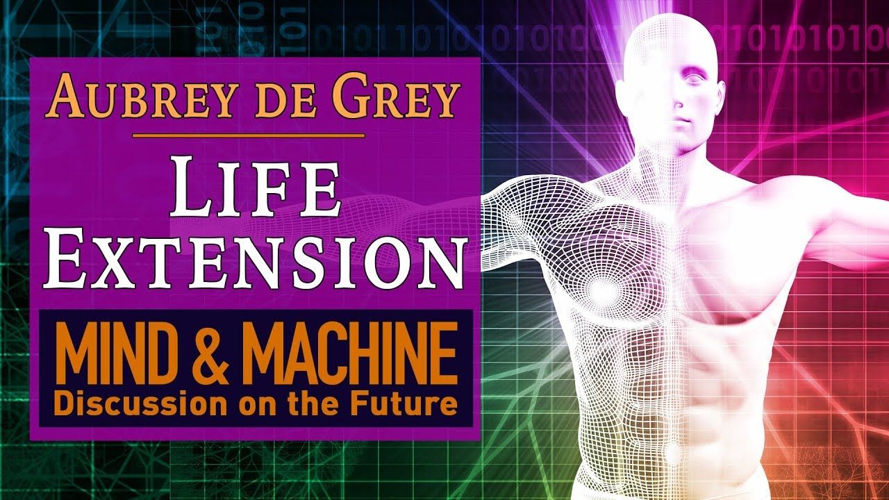 Ending Aging by Aubrey de Grey