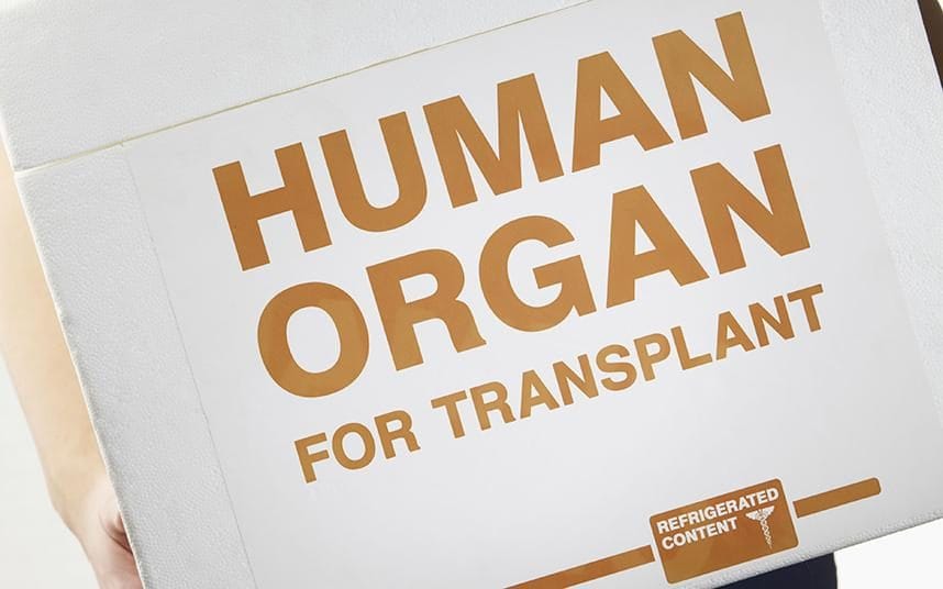 Liver transplant breakthrough to halve the waiting list, say experts