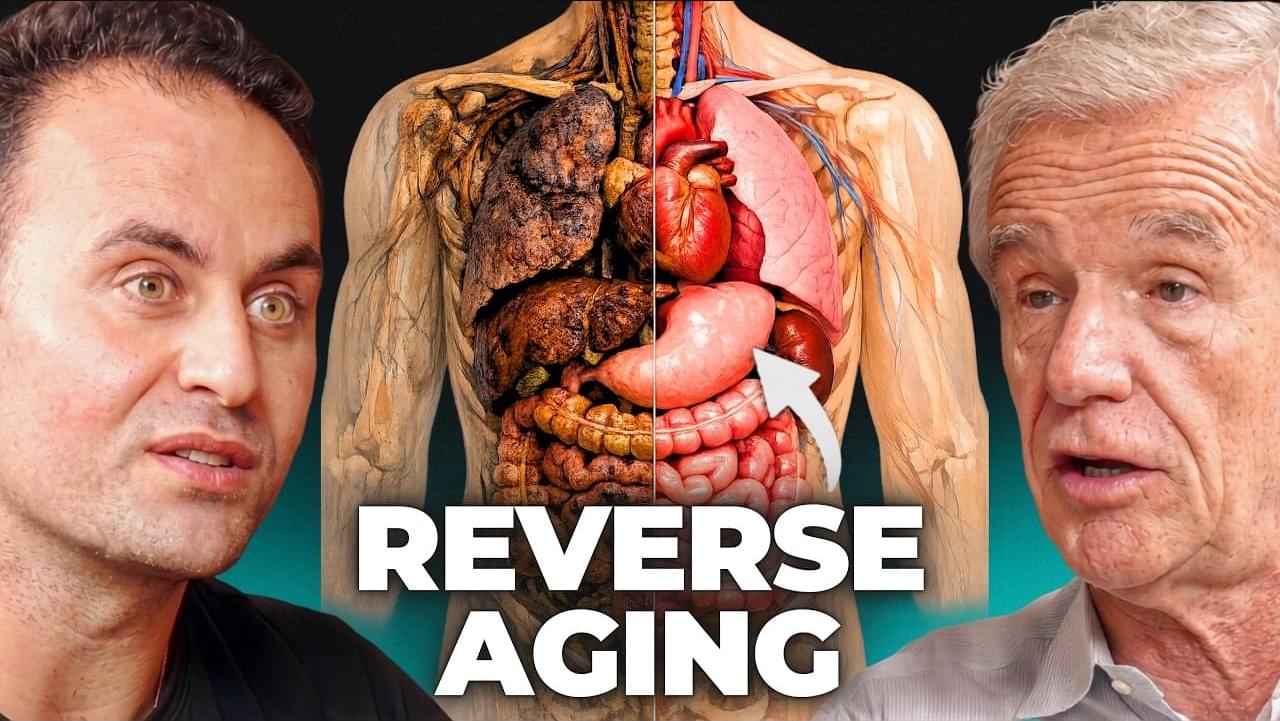 Longevity Scientist: Aging Will Soon Be Treatable But Immortality Is Not the Goal