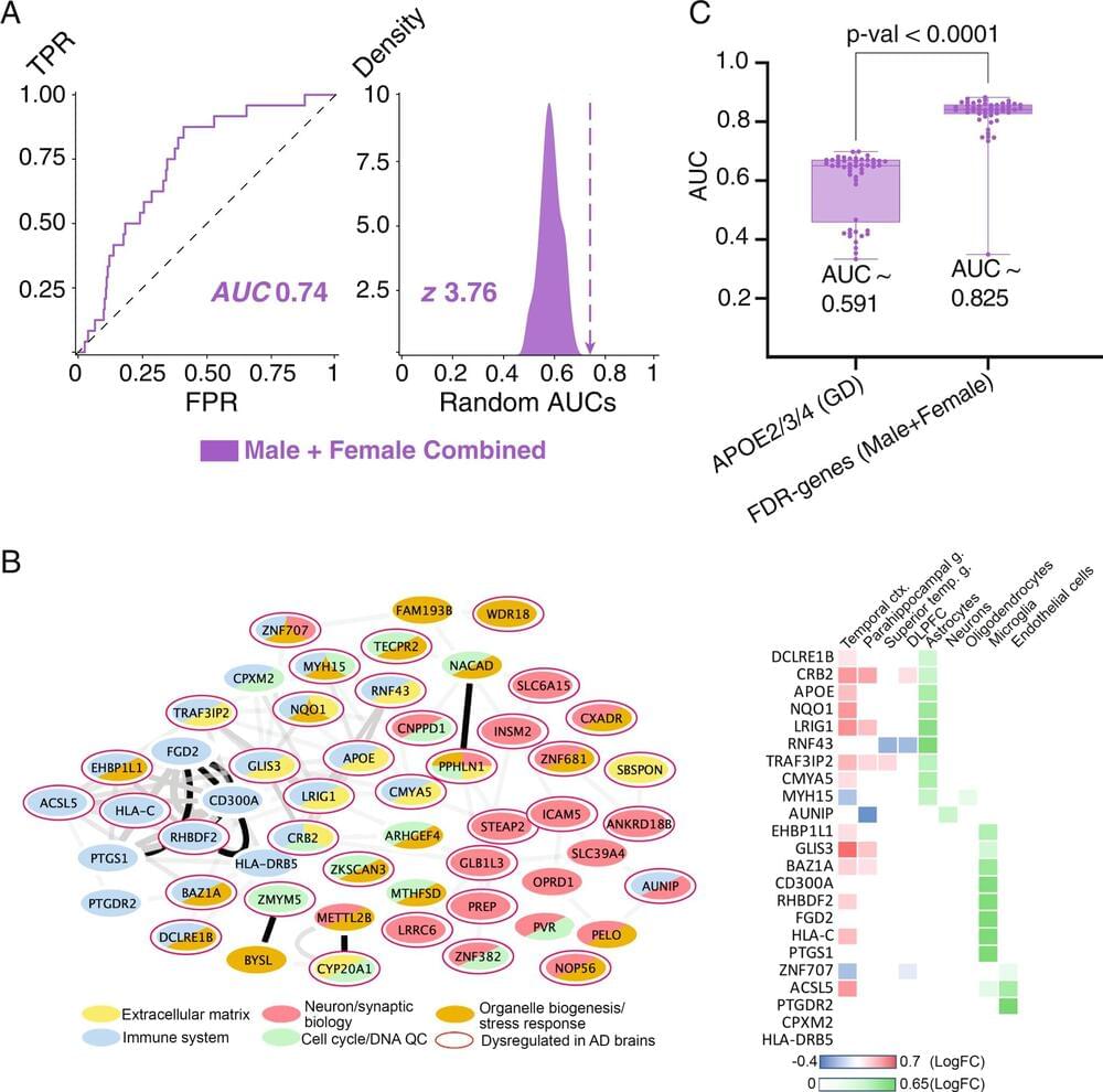 Machine Learning Program Reveals Genes Responsible For Sex Specific Differences In Alzheimers 3689