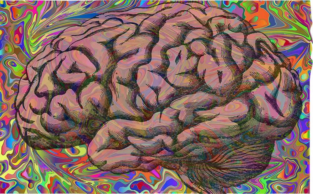 ‘Mystical’ psychedelic compound found in normal brains