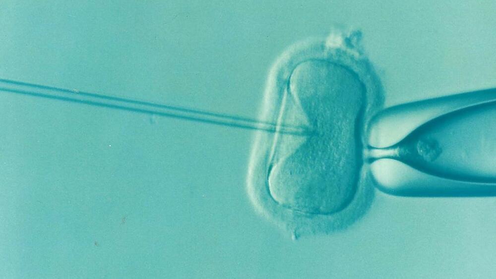 new-ivf-method-more-expensive-not-more-effective