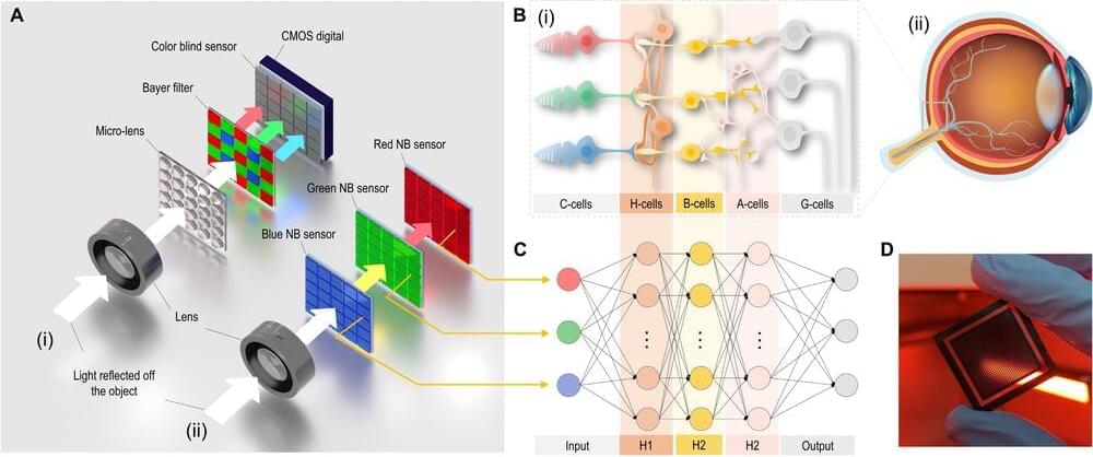 Perovskite සංවේදකය Ar