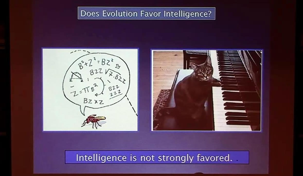 Prospects for Intelligent Life in the Universe – Lifeboat News: The Blog