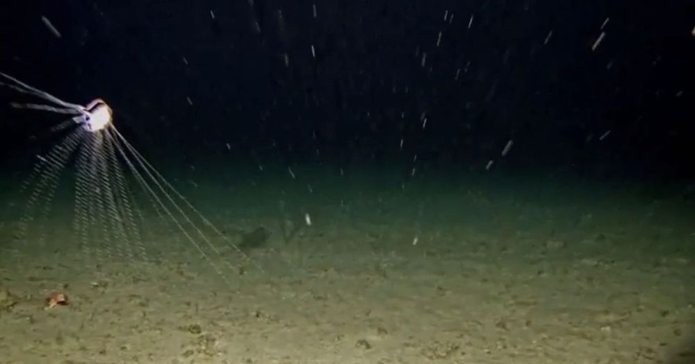 deep sea cam