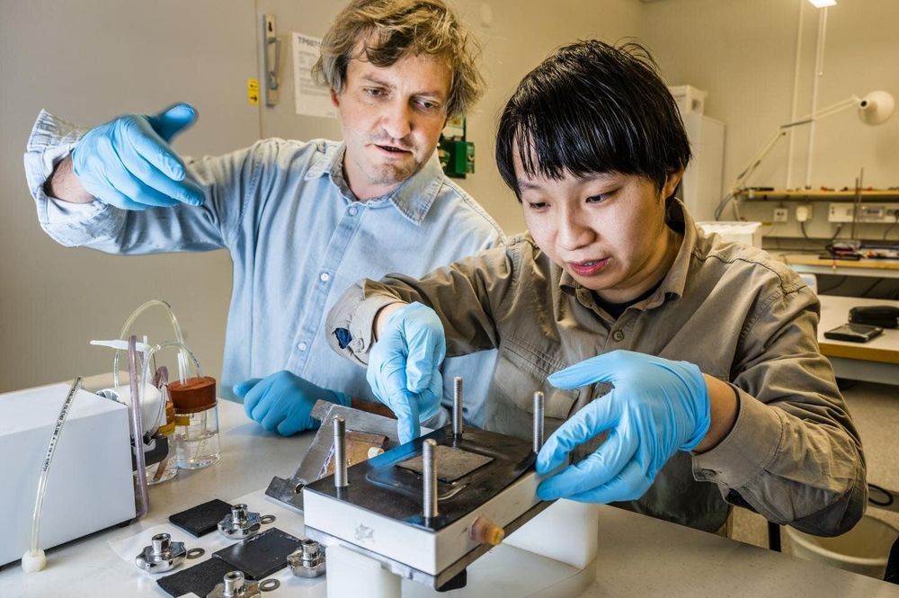 Researchers first to develop an organic battery