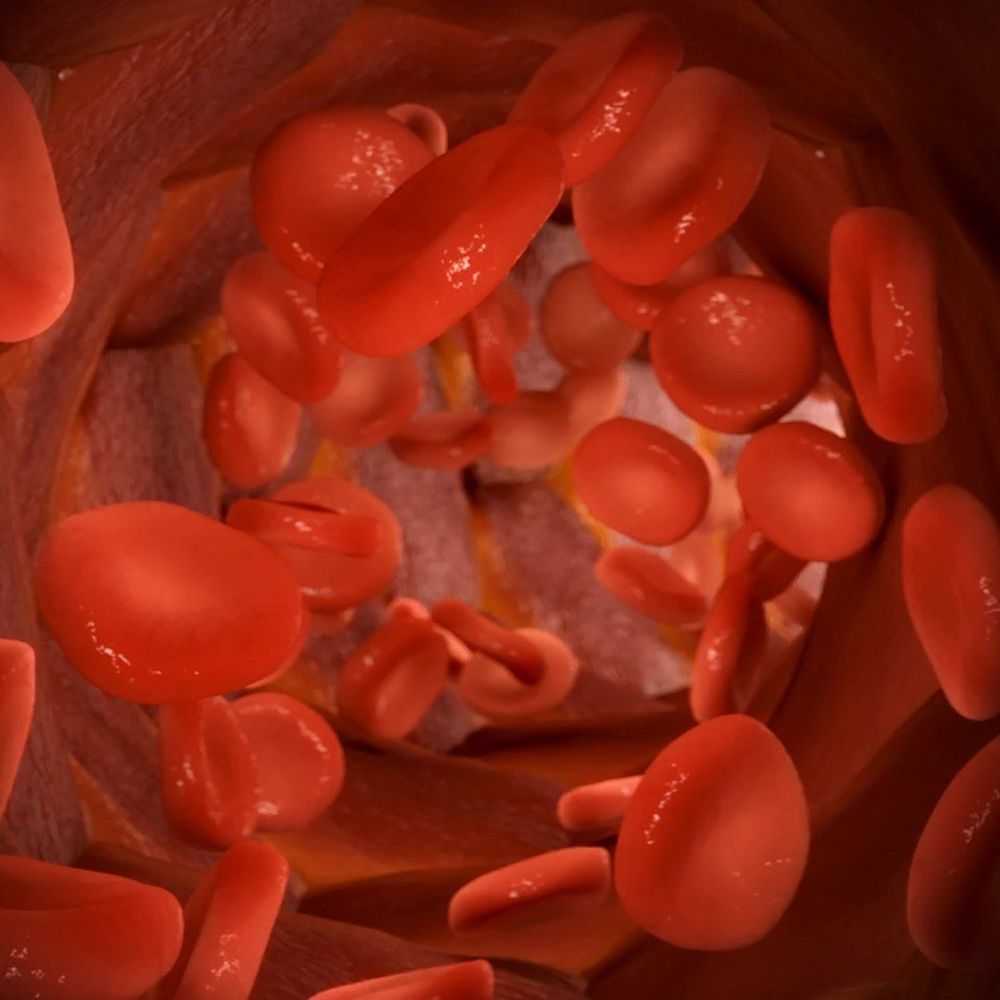 Researchers Transform Type A Into Universal Donor Blood