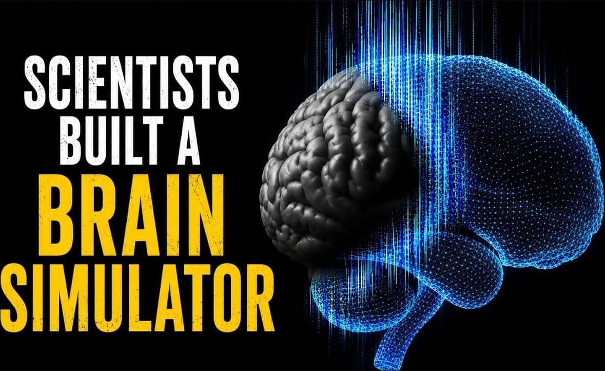 Mind Simulation Scientists Built A Disturbingly Accurate AI Brain Simulation – Lifeboat ...