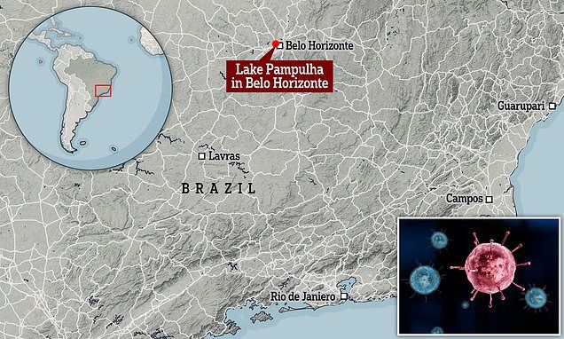 Scientists Discover Mysterious Never Before Seen Virus In Brazil