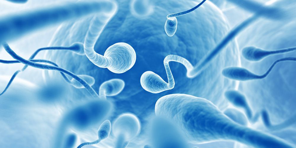 Scientists Discovered A New Part Of Your Sperm — And It