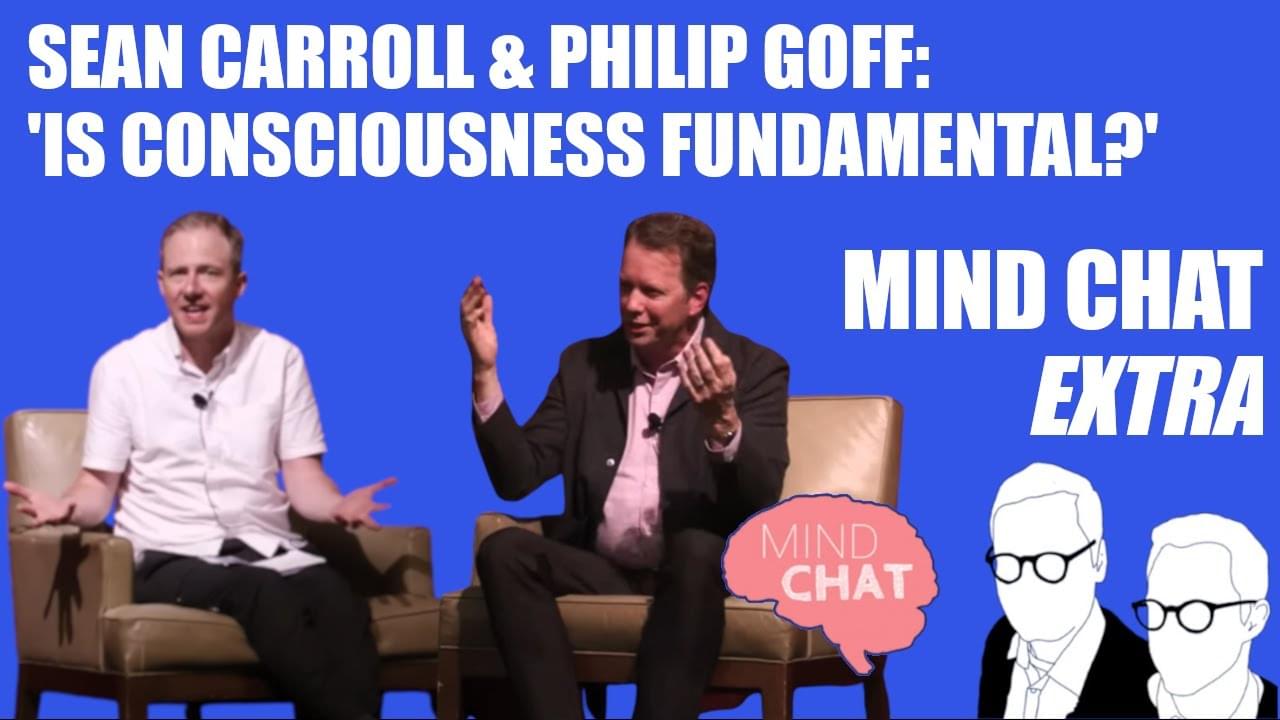 Sean Carroll & Philip Goff Debate ‘Is Consciousness Fundamental ...