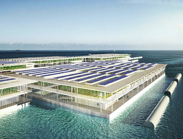 Solar-Powered Floating Farms 1