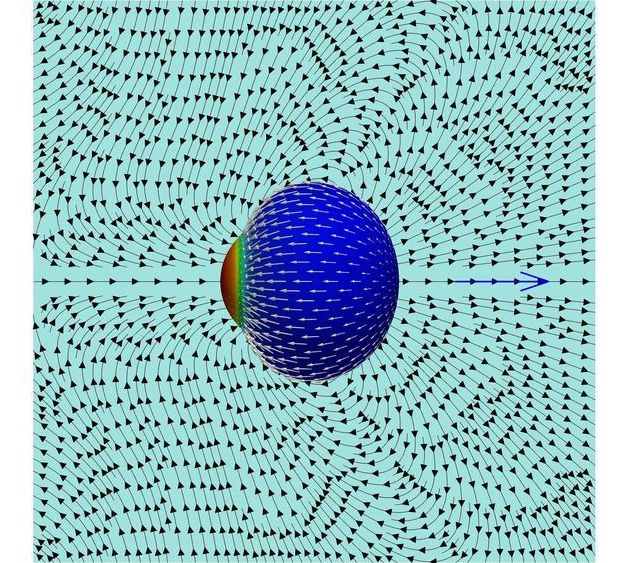 the term that crawling cells that move through a sponge delivering food and oxygen