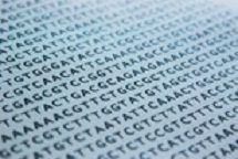 dna-sequence-1570578-639x427-1