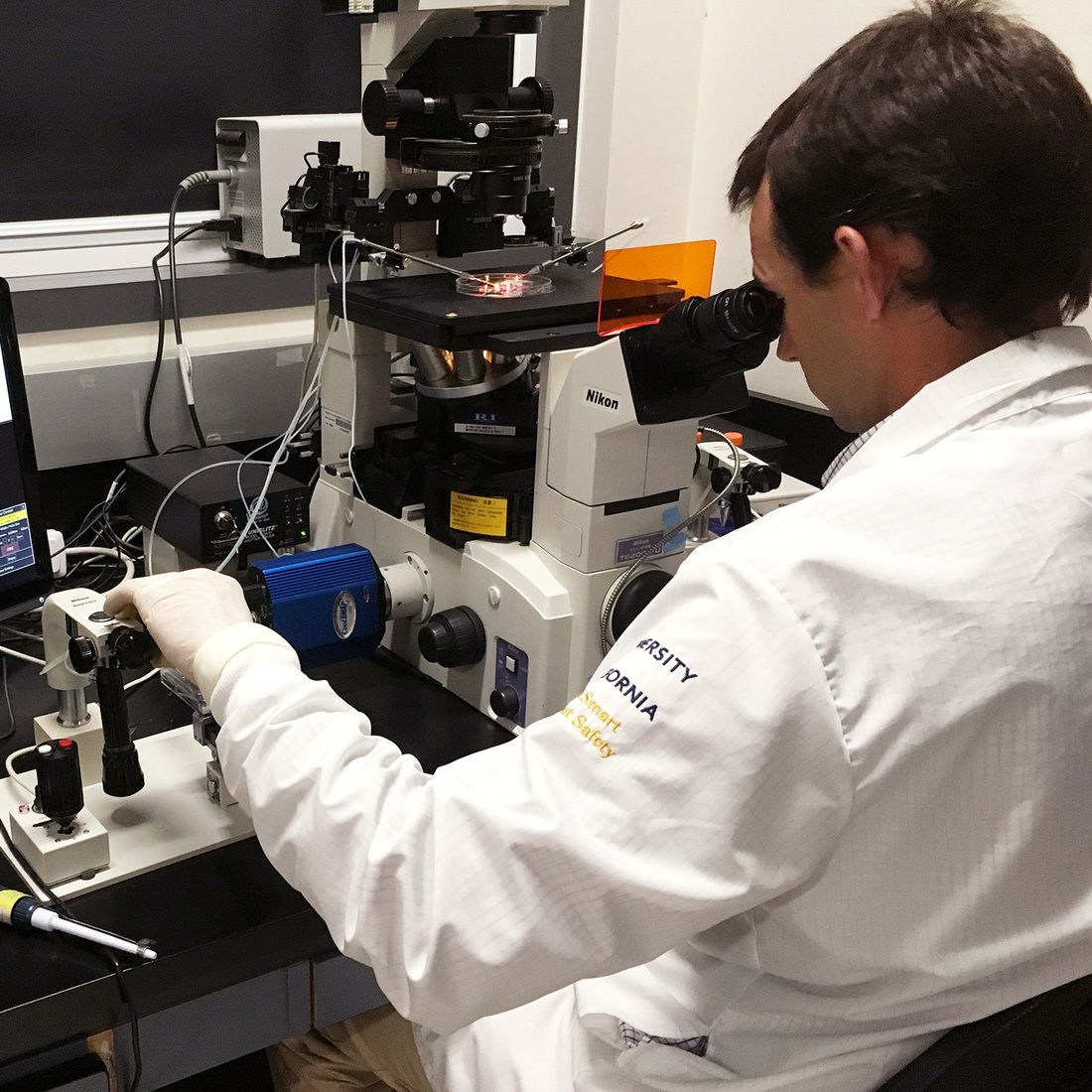 Pablo Ross of the University of California, Davis, inserts human stem cells into a pig embryo as part of experiments to create chimeric embryos.