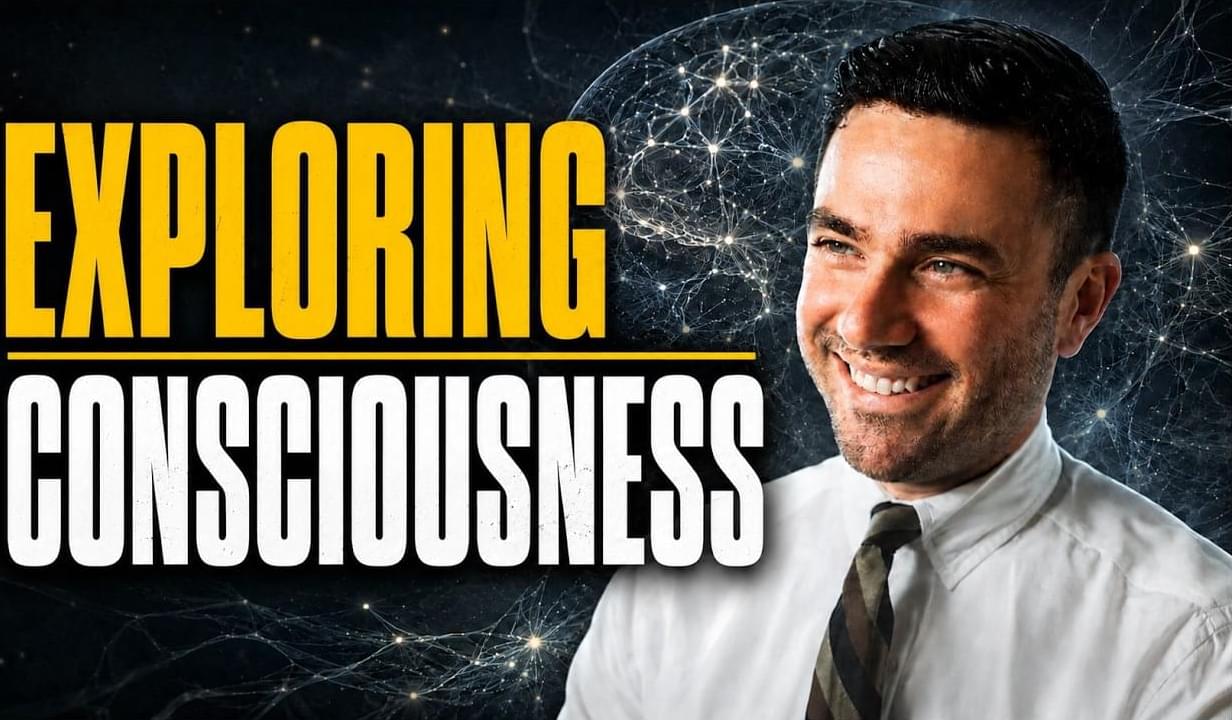 The Function of Consciousness | Alexander Klein