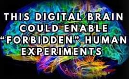 This Digital Brain Could Enable “Forbidden” Human Experiments