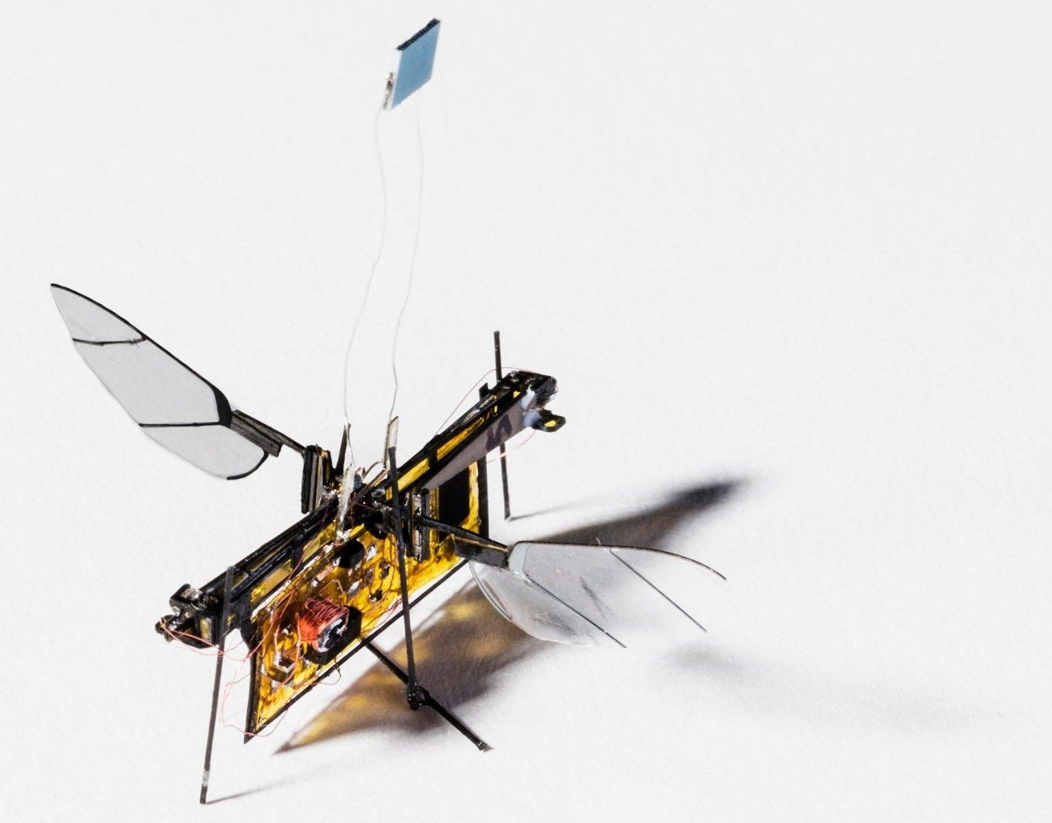 Flying robots. Летающий робот. Летающий робот «Драгонфлай». Робот летающие на на мухе. Микроскопический летающий робот-Муха.