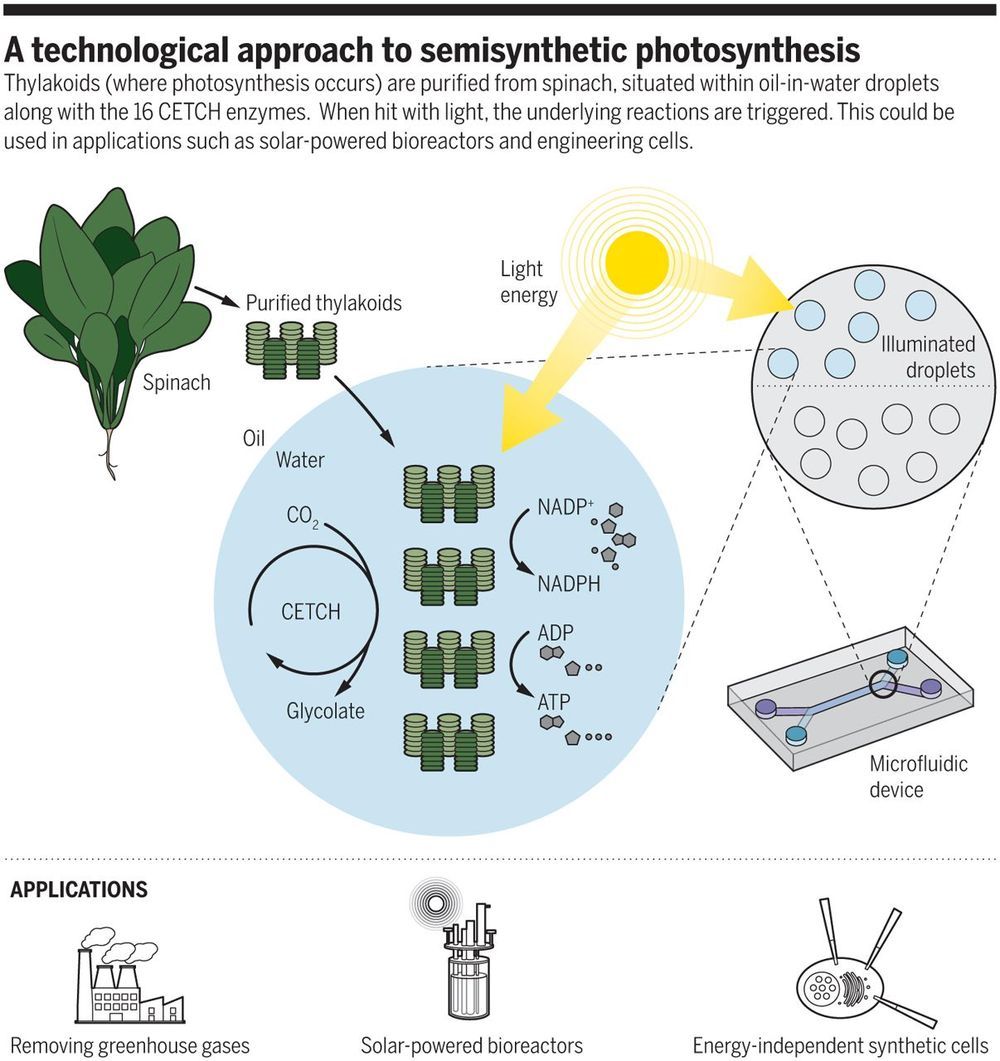 artificial photosynthesis