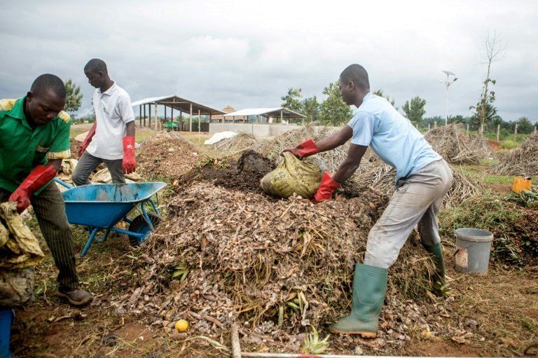 ‘Trash is gold’ as Benin community turns waste into biogas