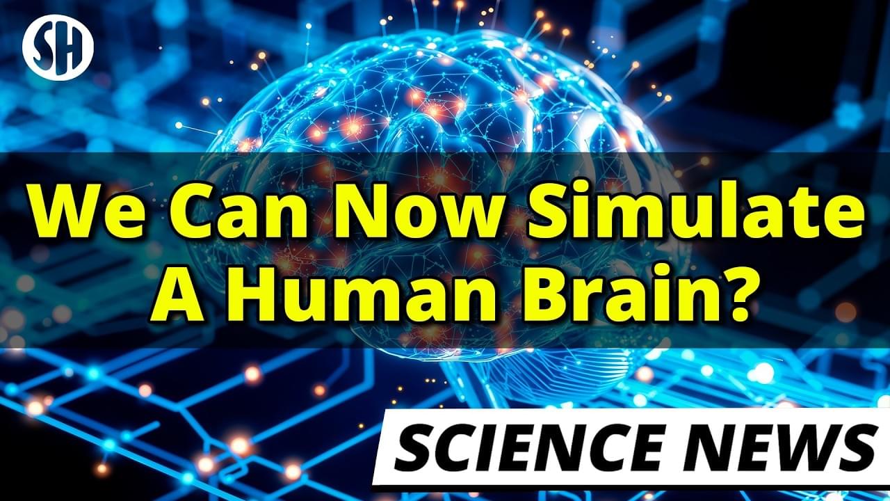 We Can Now Simulate a Human Brain, Scientists Show – Lifeboat News: The ...
