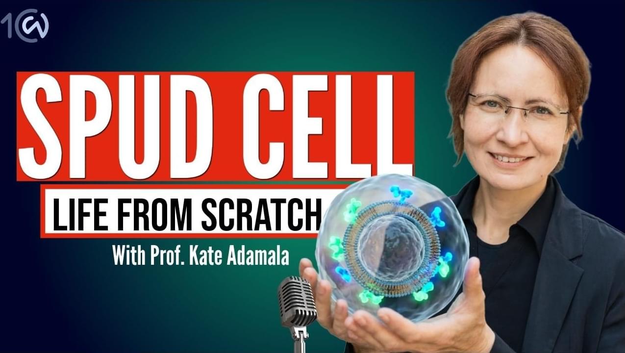World's first Artificial Cell Is here & this changes everything I Prof. Kate Adamala