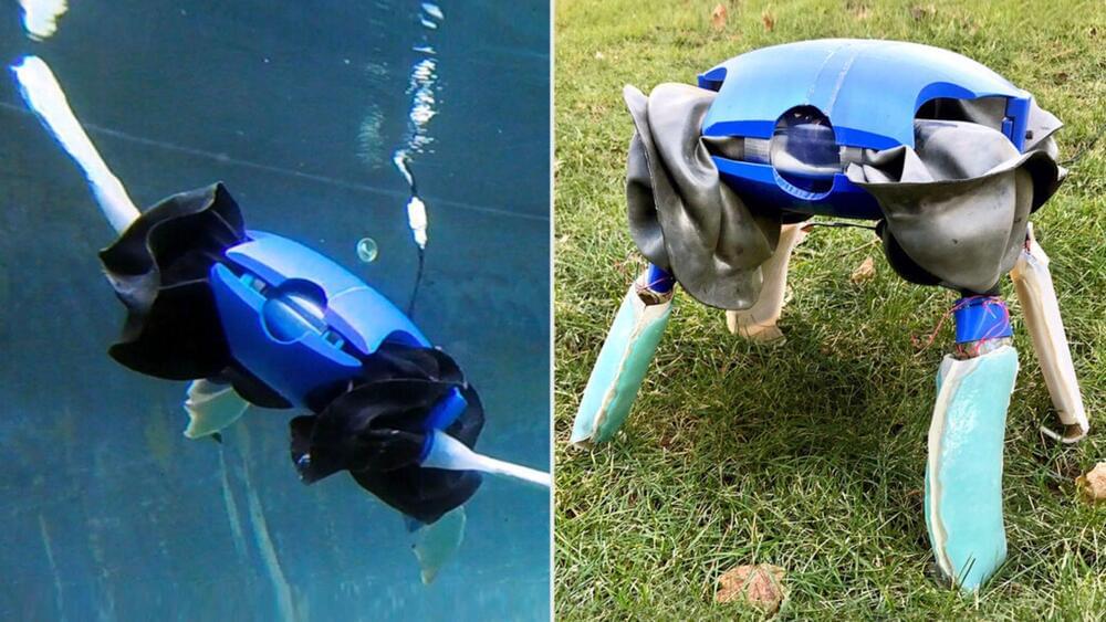 Yale researchers create a new amphibious turtle robot with shape ...